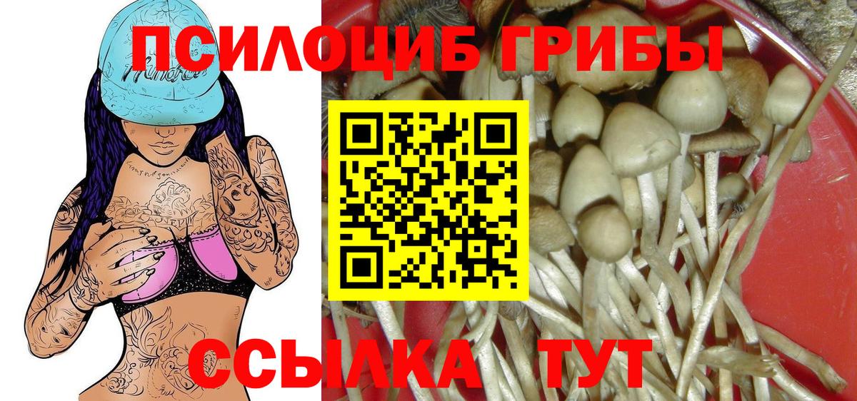 Псилоцибиновые грибы ЛСД  Псилоцибиновые грибы Psilocybine cubensis  Вход с VPN  Михайловка 